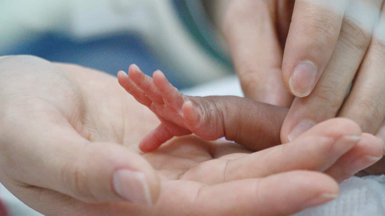CHINA HENAN BEIJING PALM-SIZED BABY RESCUE