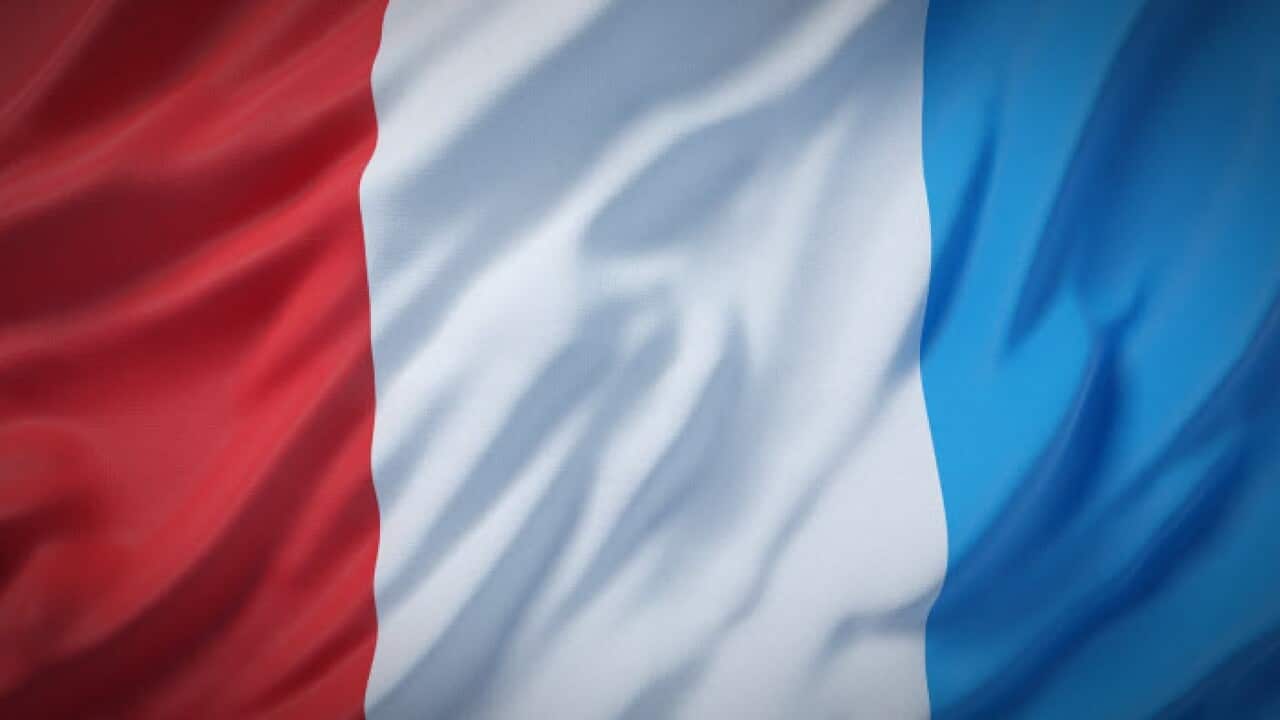 France Flag