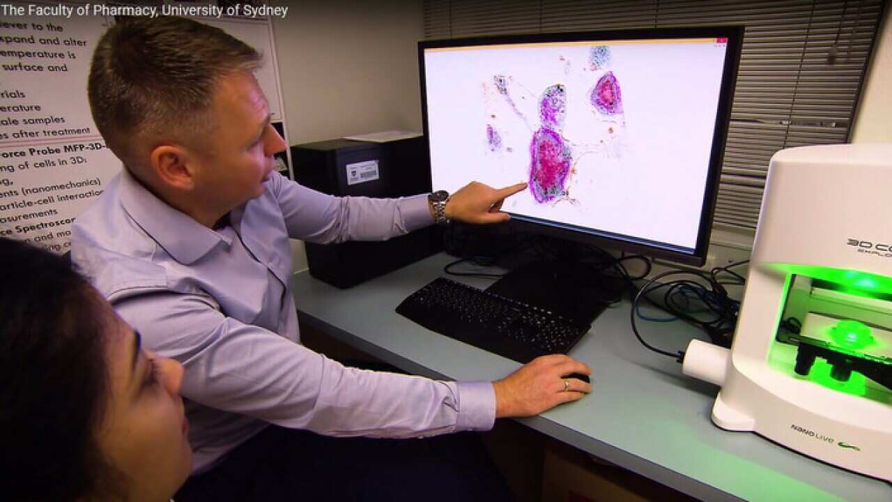 Cell's nano-particles