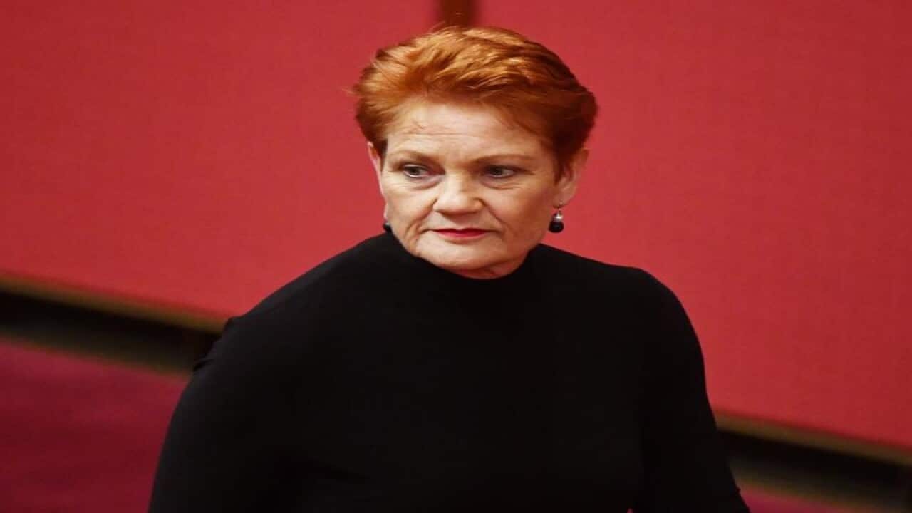 One Nation senator Pauline Hanson