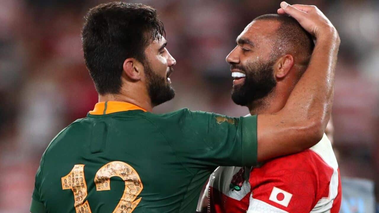 rugby world cup brave blossoms 2019 japan