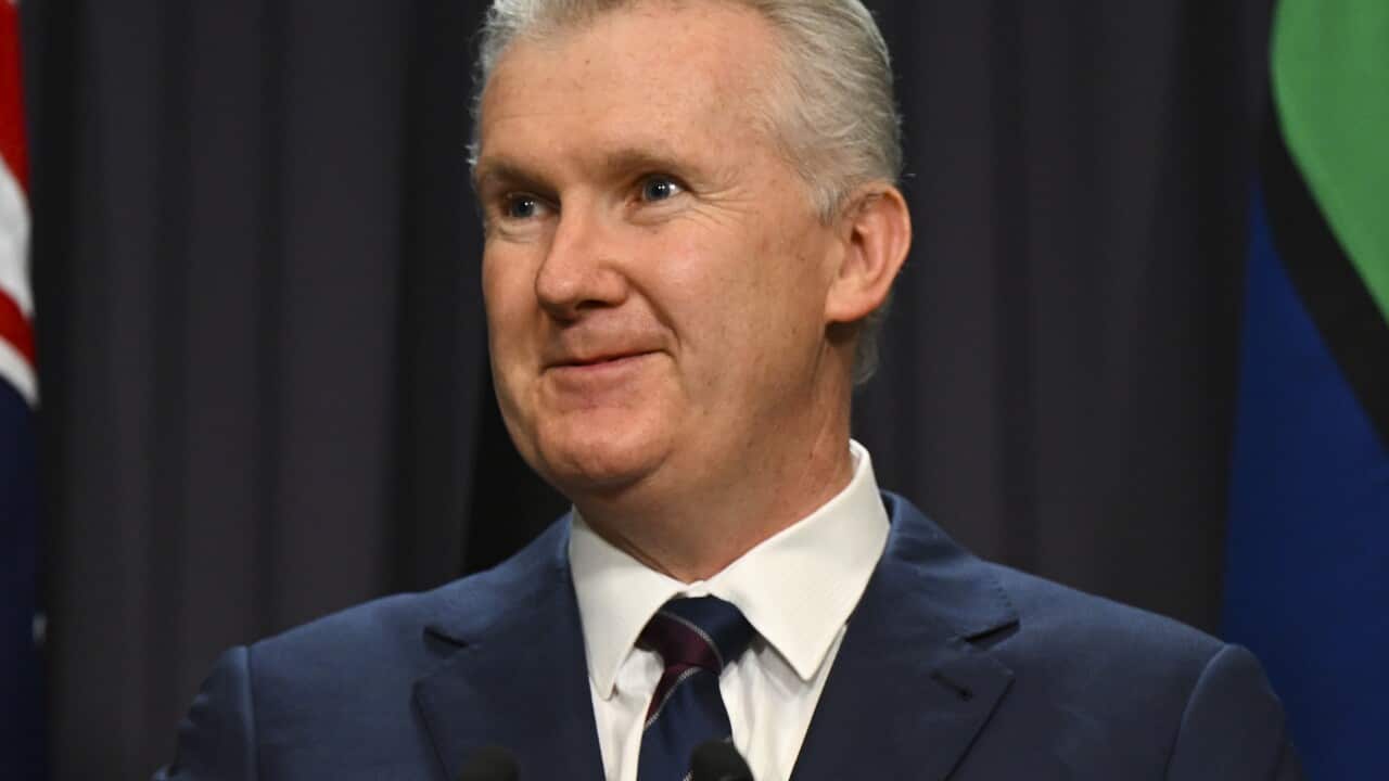 Image for read more article 'READ MORE'