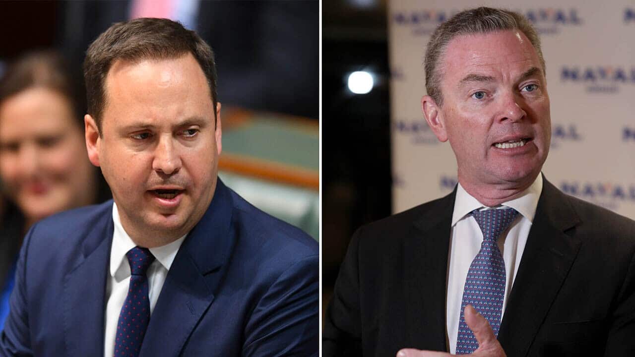 Another two of Scott Morrison's ministers could retire at the election, with reports suggesting Christopher Pyne and Steve Ciobo are next.