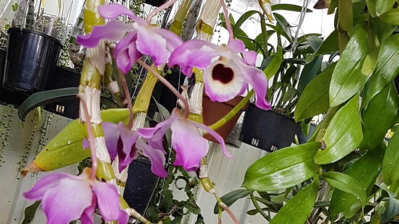 Lan Thủy Tiên trong nhà chị Diễm Trần