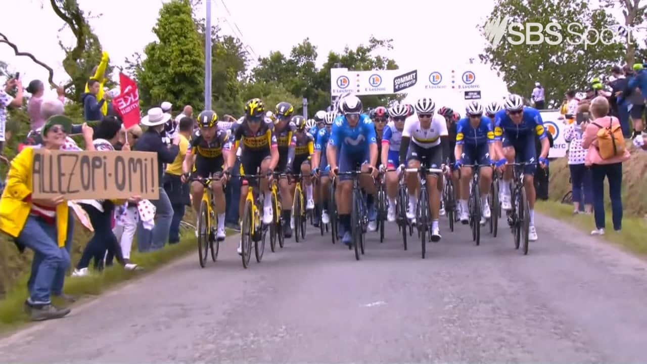 Tdf Racers TDF Retro: Fan causes huge crash in 2021 | SBS Sport