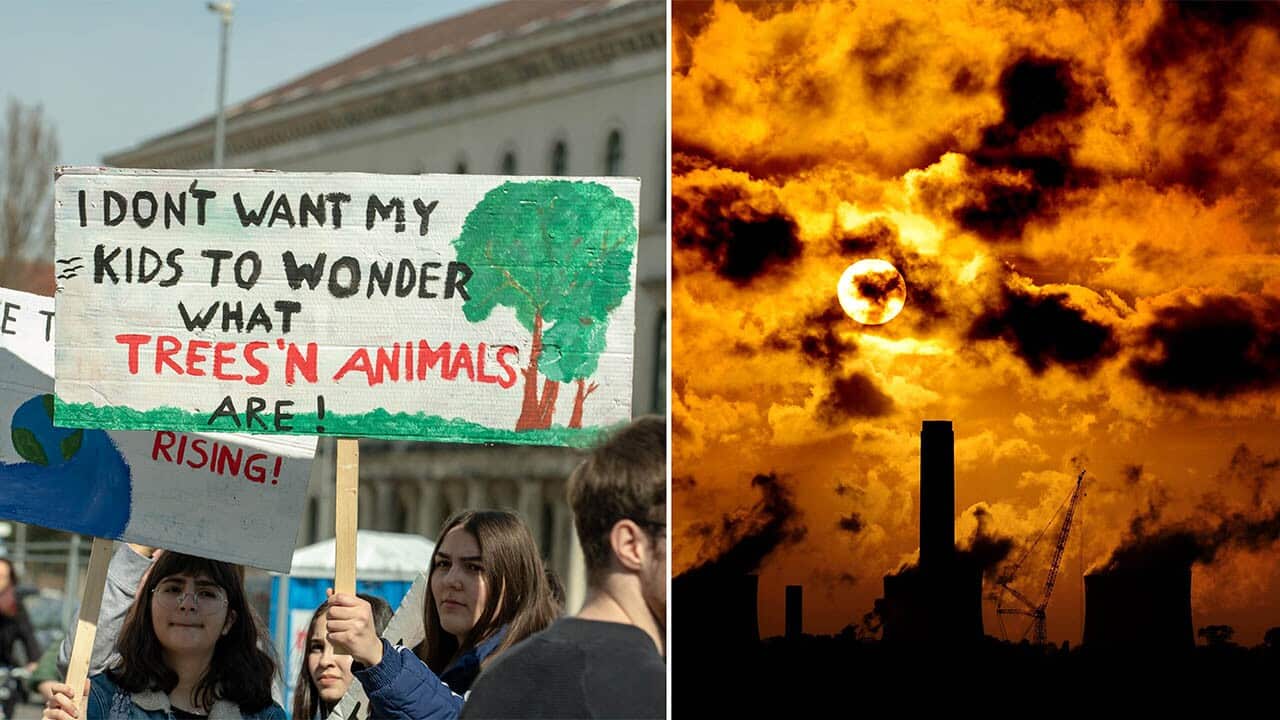 The World Meteorological Organisation report warns the impacts of Climate Change are accelerating and emissions are rising to dangerous levels.