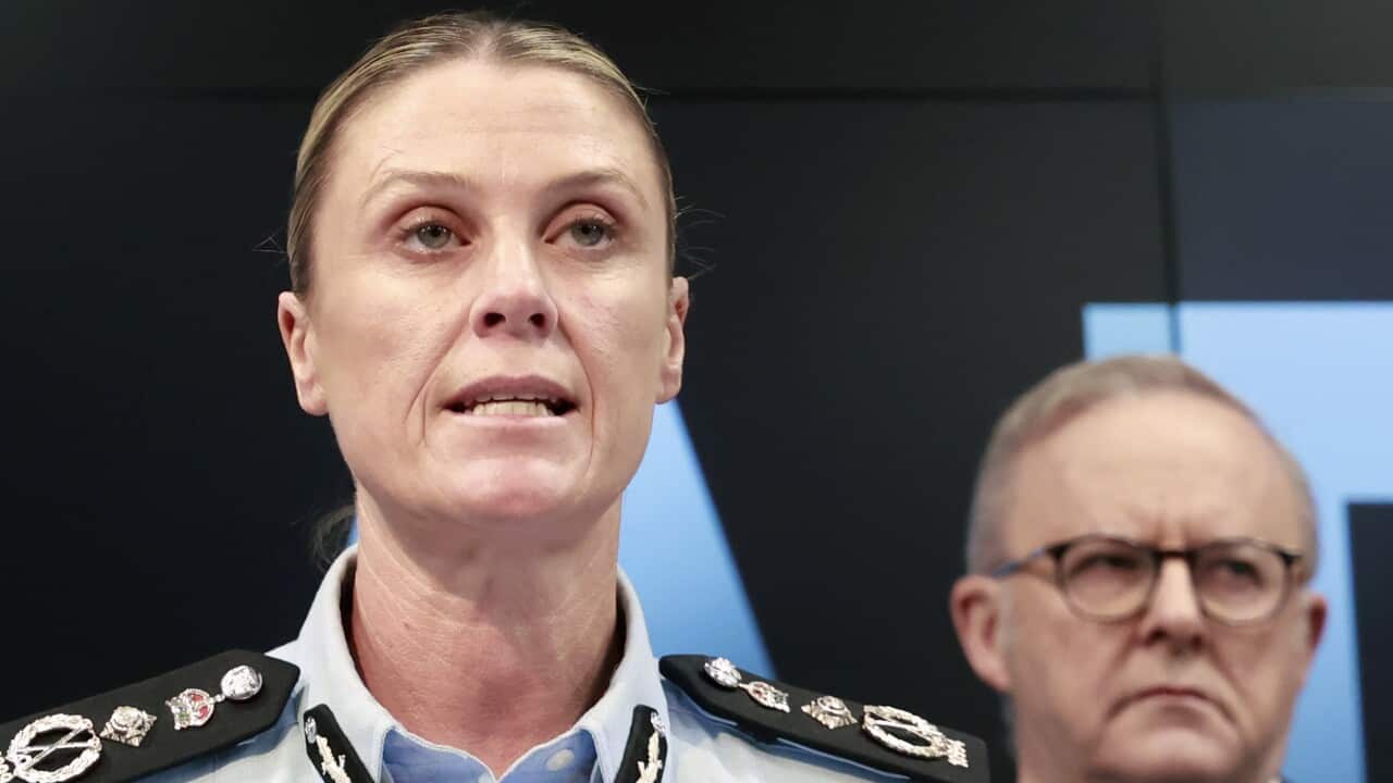 AFP BONDI TERROR INVESTIGATION