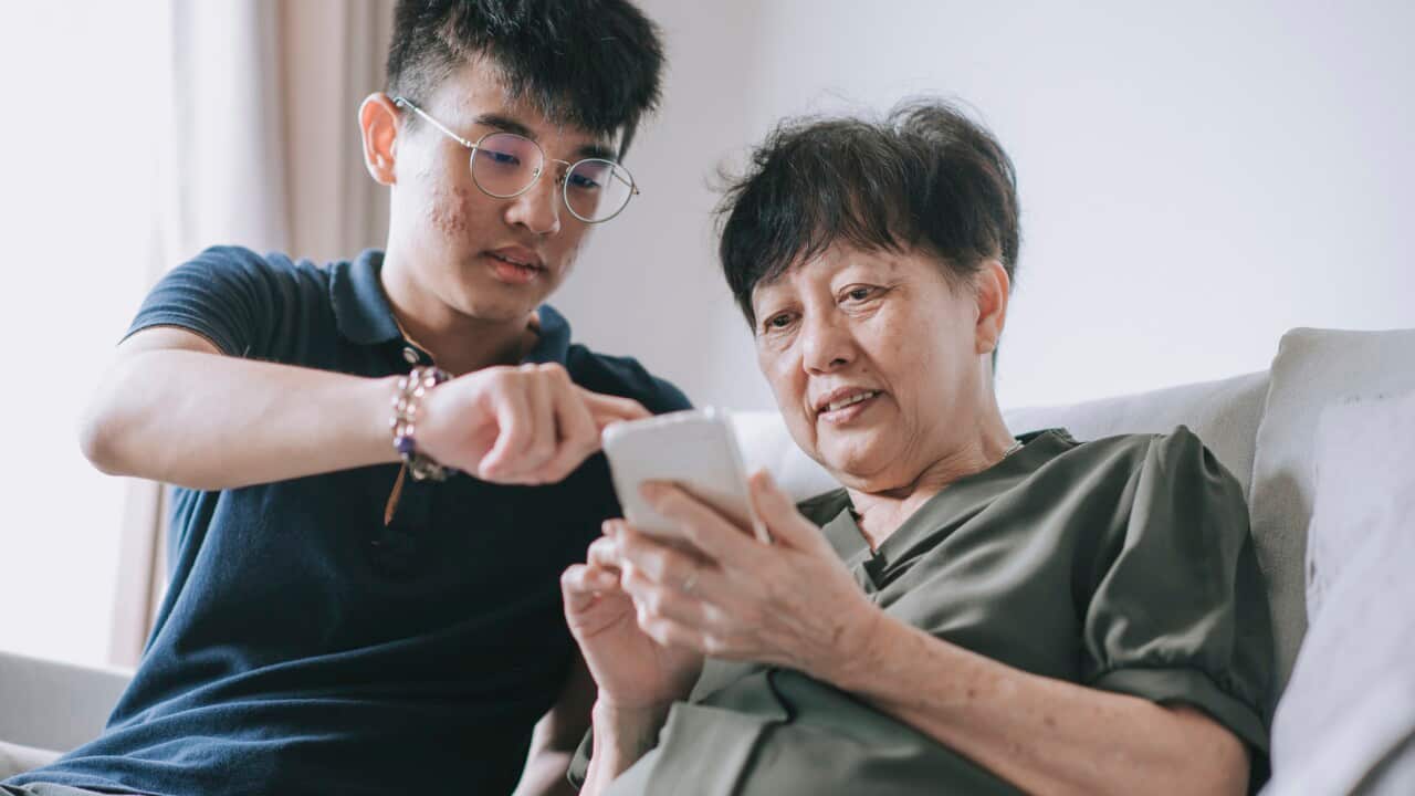 asian chinese senior woman looking on her phone checking for message social media surf the net