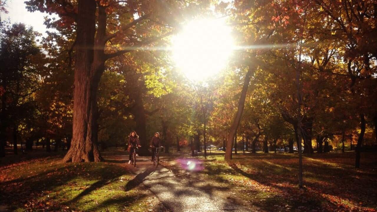 Image for read more article ''