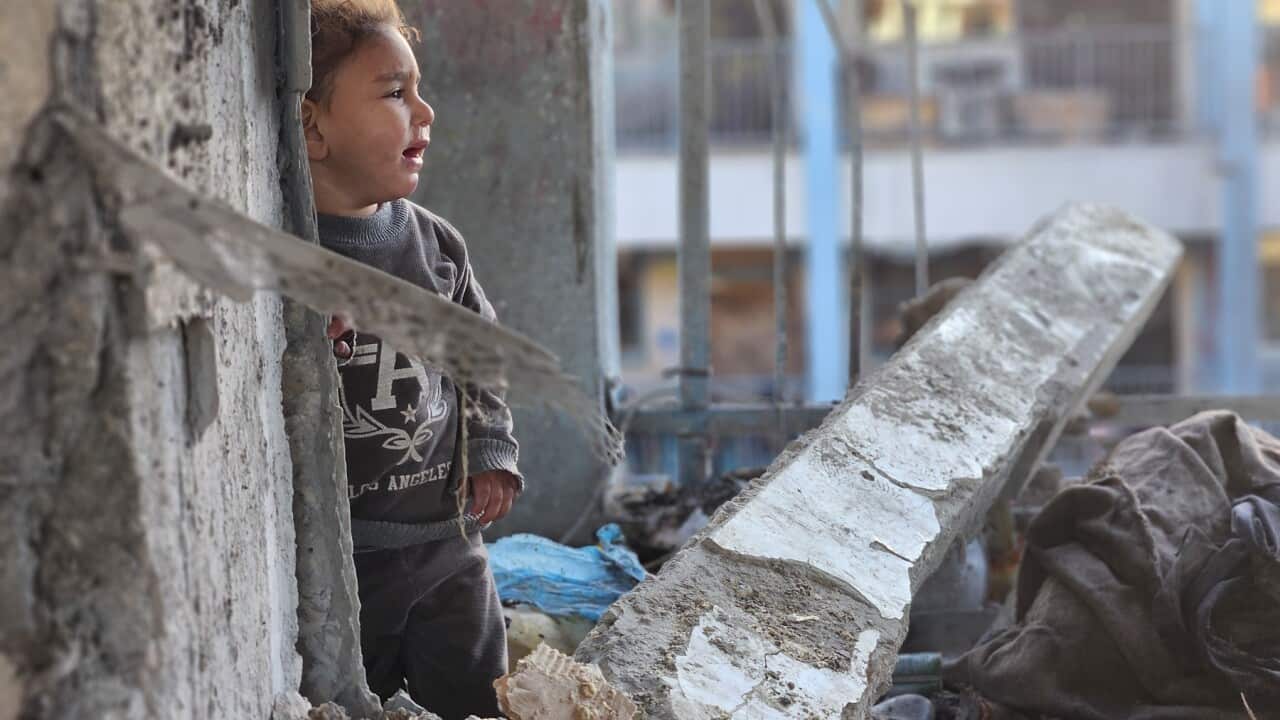 Children among 15 Palestinians killed in Israeli attack on southern Gaza shelter
