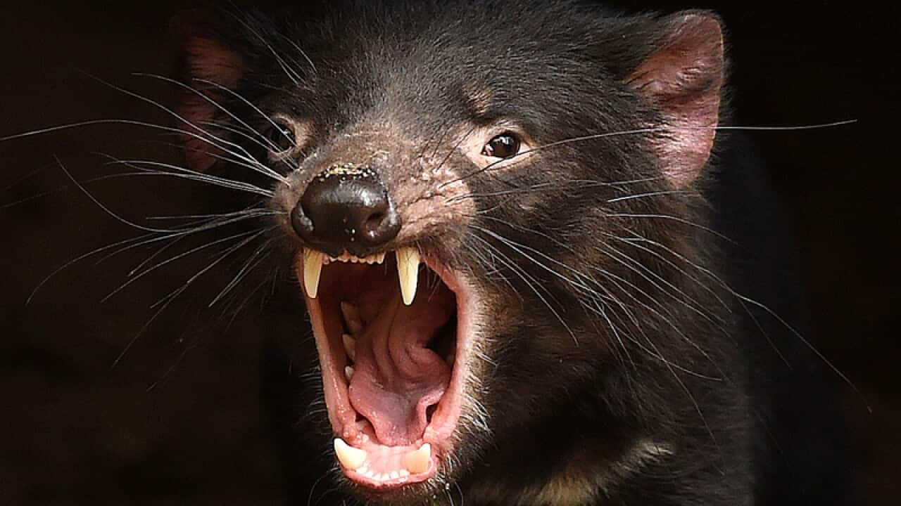 Image for read more article 'READ MORE'