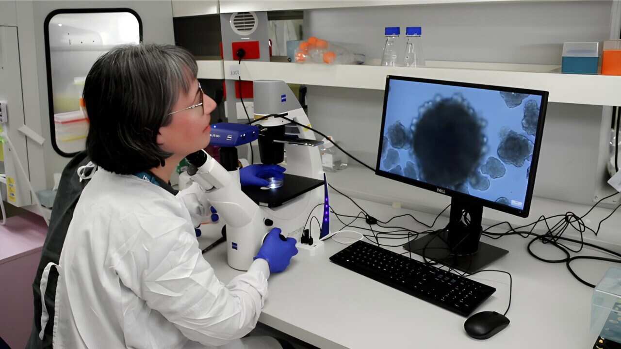 Carrying out stem cell research in the lab (SBS).jpg