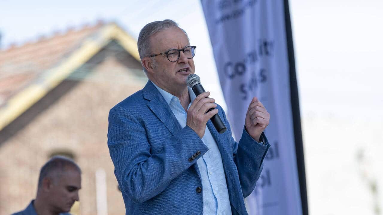 ANTHONY ALBANESE SYDNEY ITALIAN FESTA