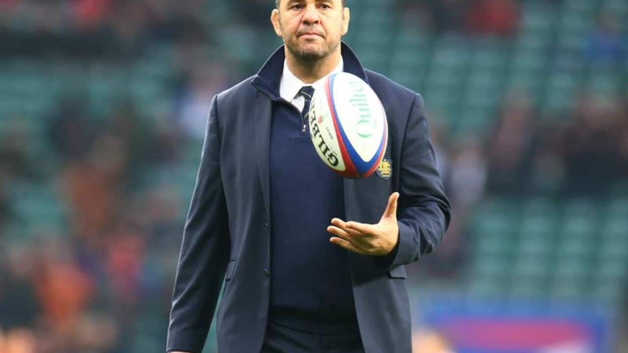 Cheika