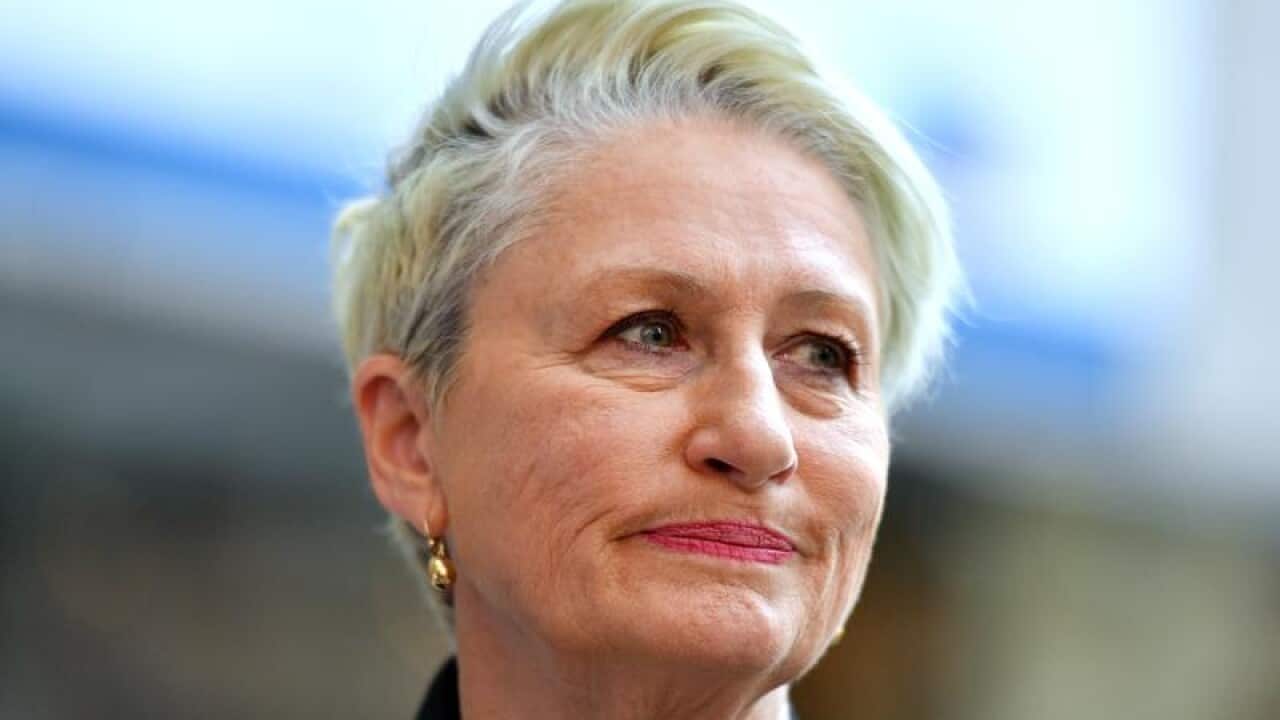 Independent candidate for Wentworth Kerryn Phelps addresses the media.