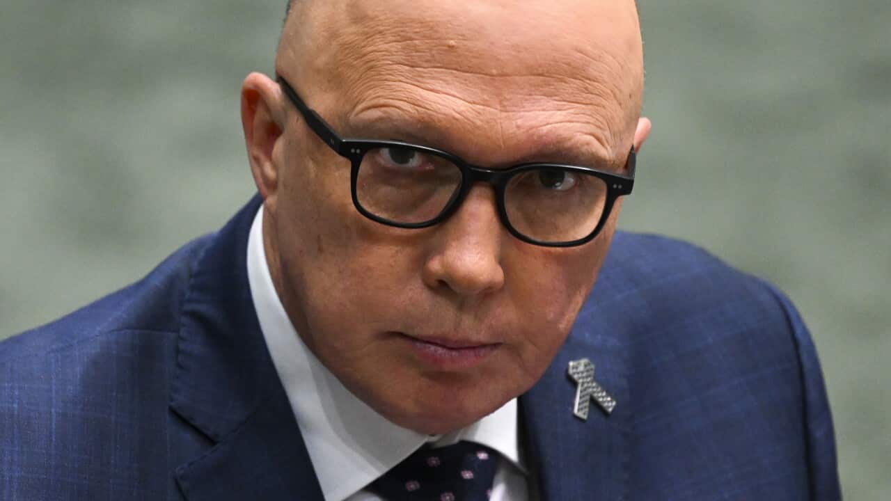 Image for read more article 'READ MORE'