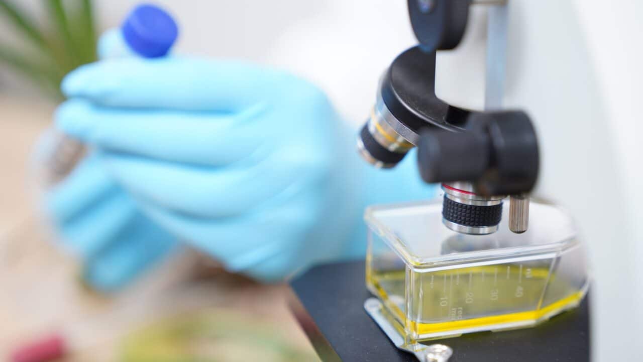 Image for read more article 'READ MORE'