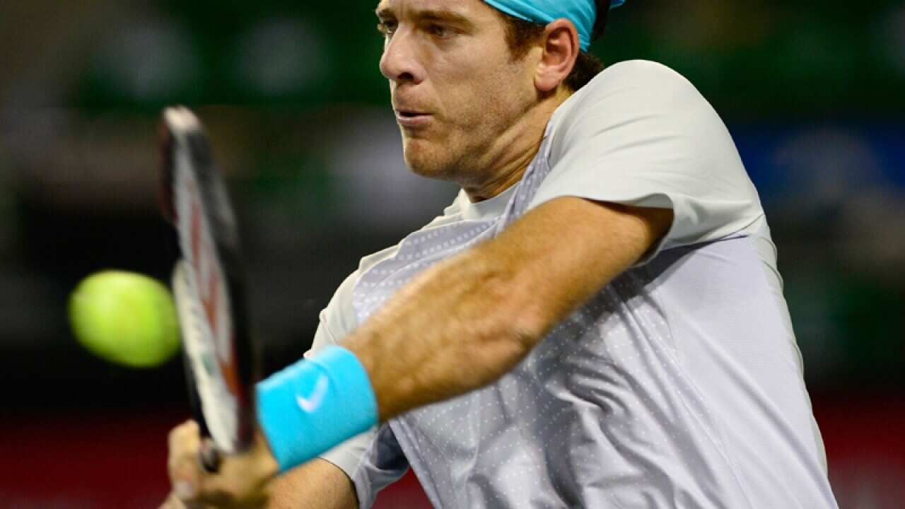 Argentinian tennis player Juan Martin del Potro