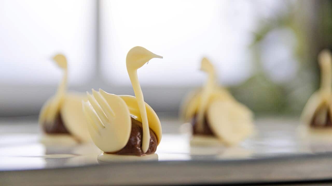 A swan made of white chocolate pieces, with a soft brown chocolate body, sits on a round platter. Several more can be seen behind, out of focus.
