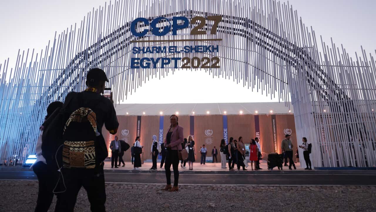 COP27 Climate Conference: Day One