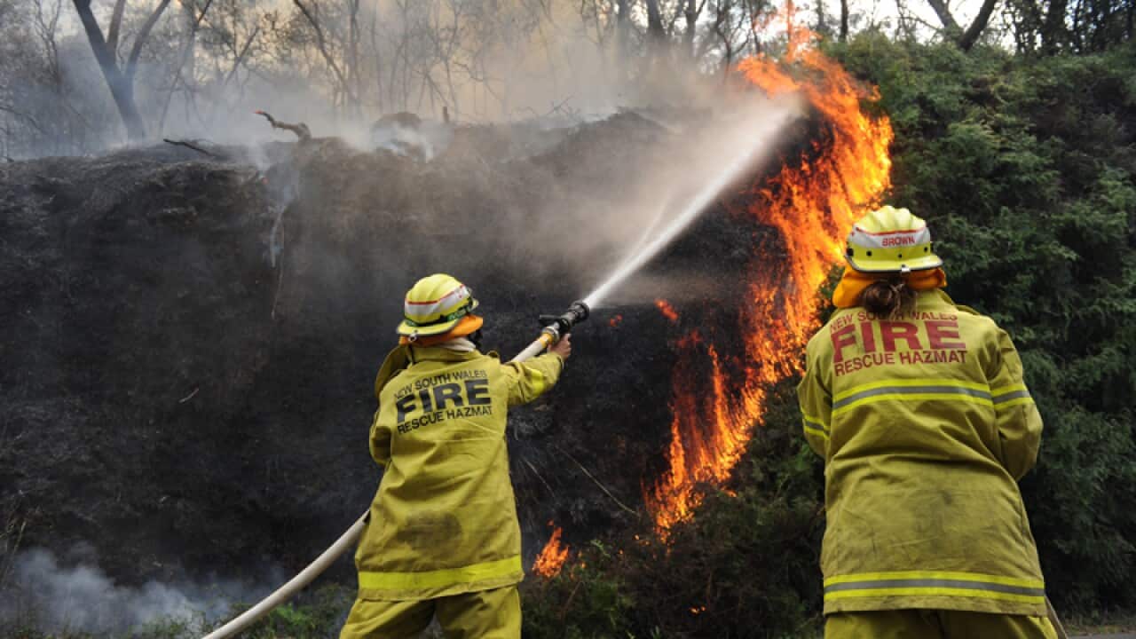Bush fire season began early in the Blue Mountains as NSW Fire Brigade crews defended homes at Leura. (AAP)