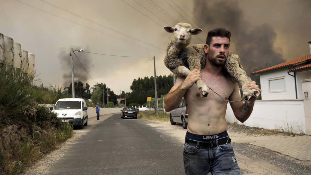 Image for read more article 'veja ainda'