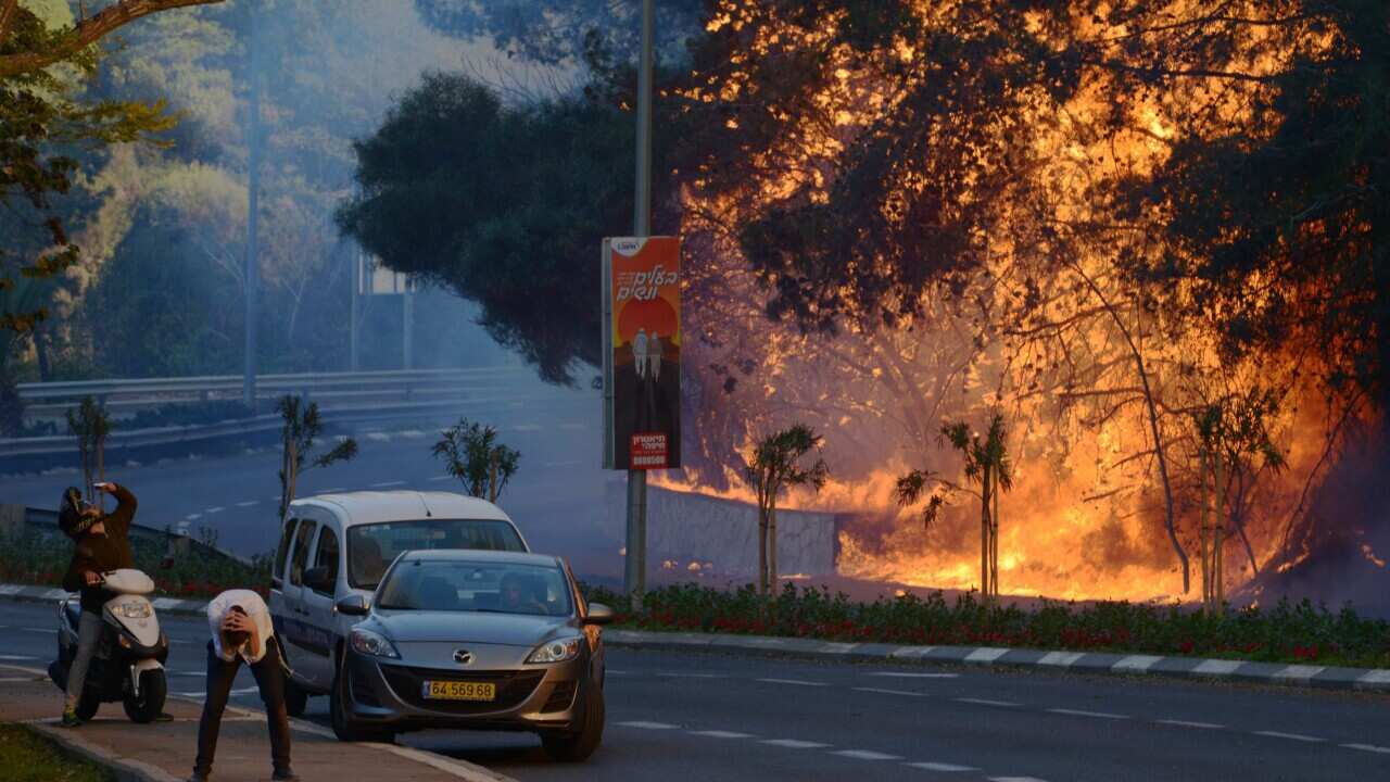 A man cover his head across the street from burning trees in a suburb of the coastal city of Haifa, north of Israel, 24 November 2016. 