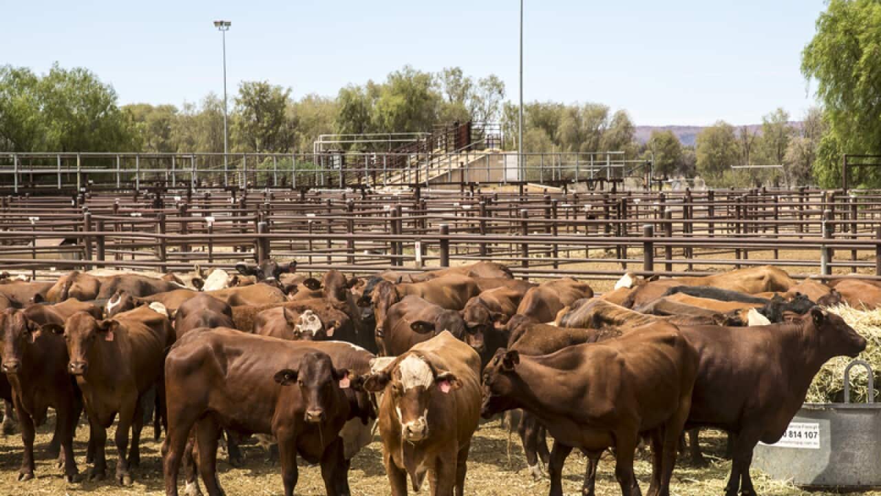 Image for read more article 'READ MORE'