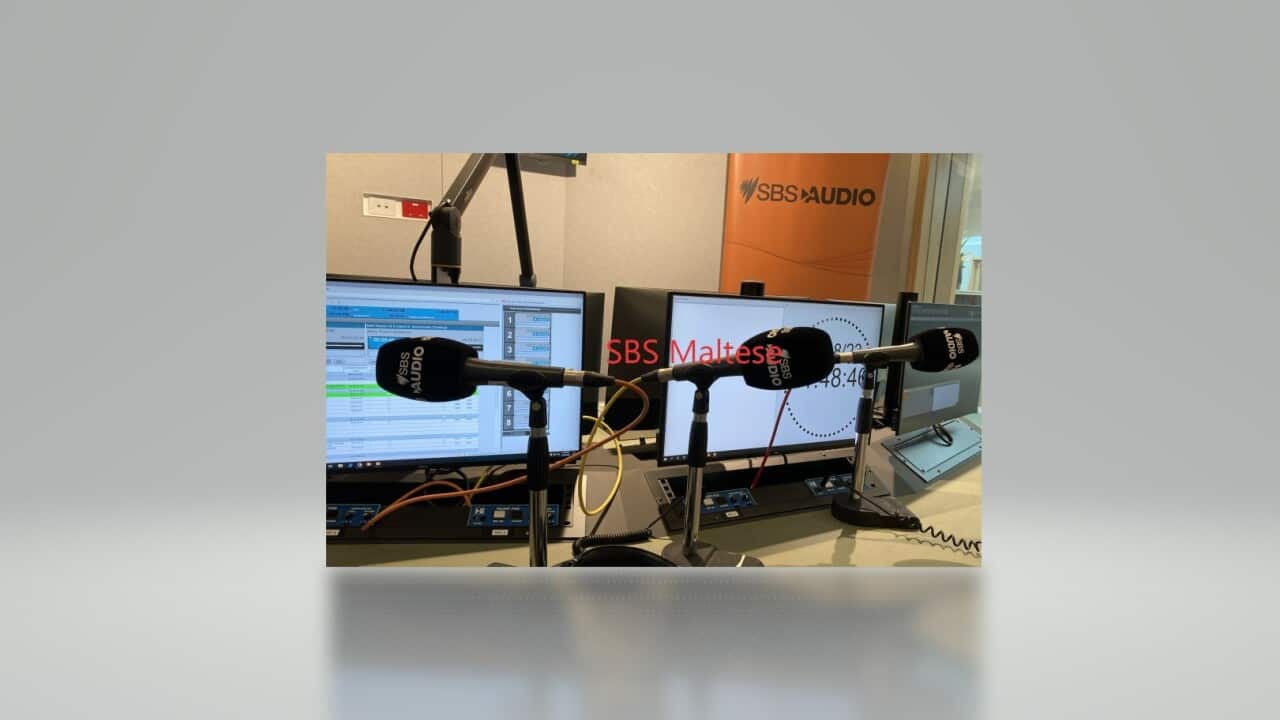 SBS Maltese Audio 1.jpg