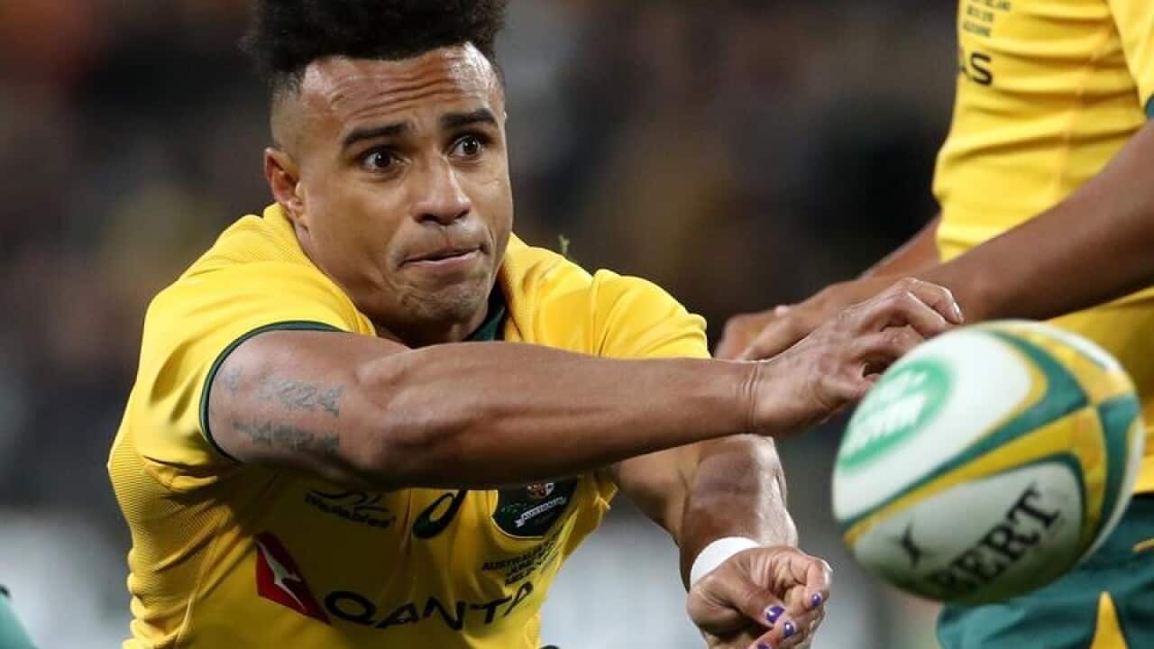Wallabies halfback Will Genia