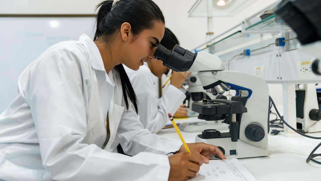 Female student looking through a microscope at the university lab