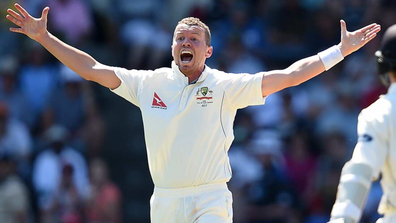 Australian bowler Peter Siddle makes an appeal