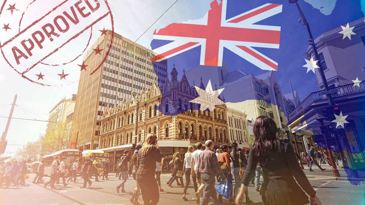 SA visa pathway - SBS Sinhala.jpg