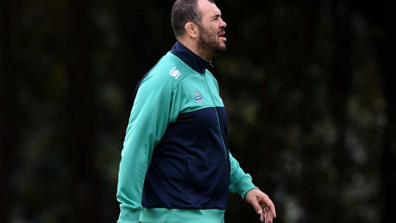 Waratahs Super Rugby coach Michael Cheika