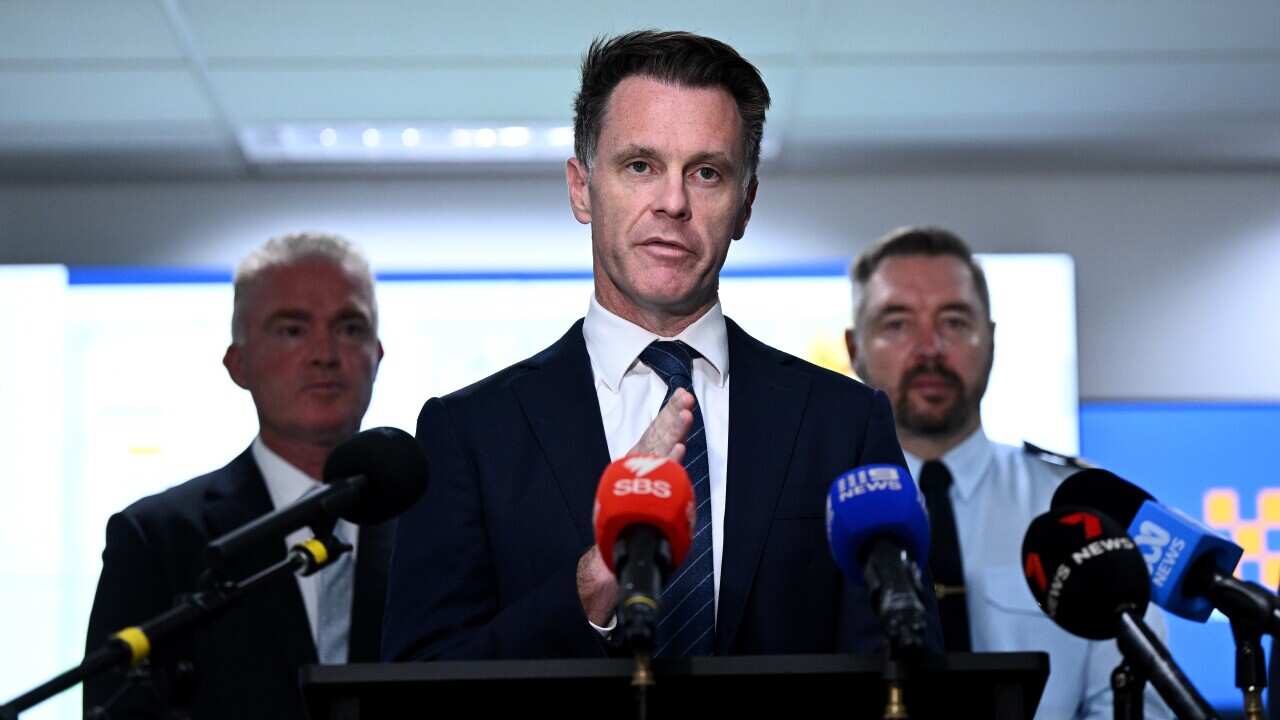 CHRIS MINNS CYCLONE ALFRED UPDATE