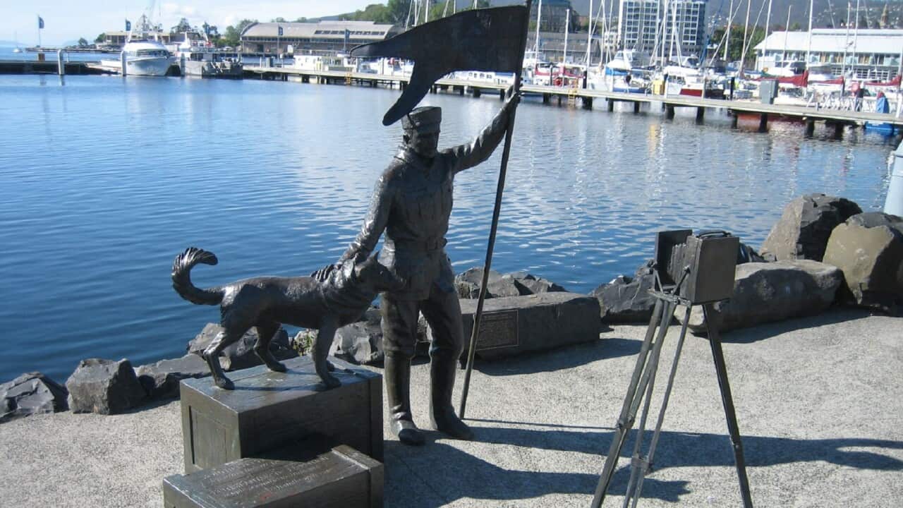 TASMANIA TRAVEL STOCK