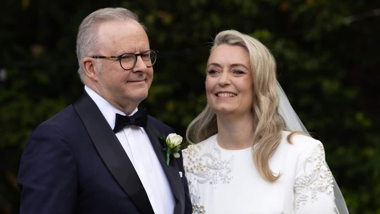 ANTHONY ALBANESE WEDDING