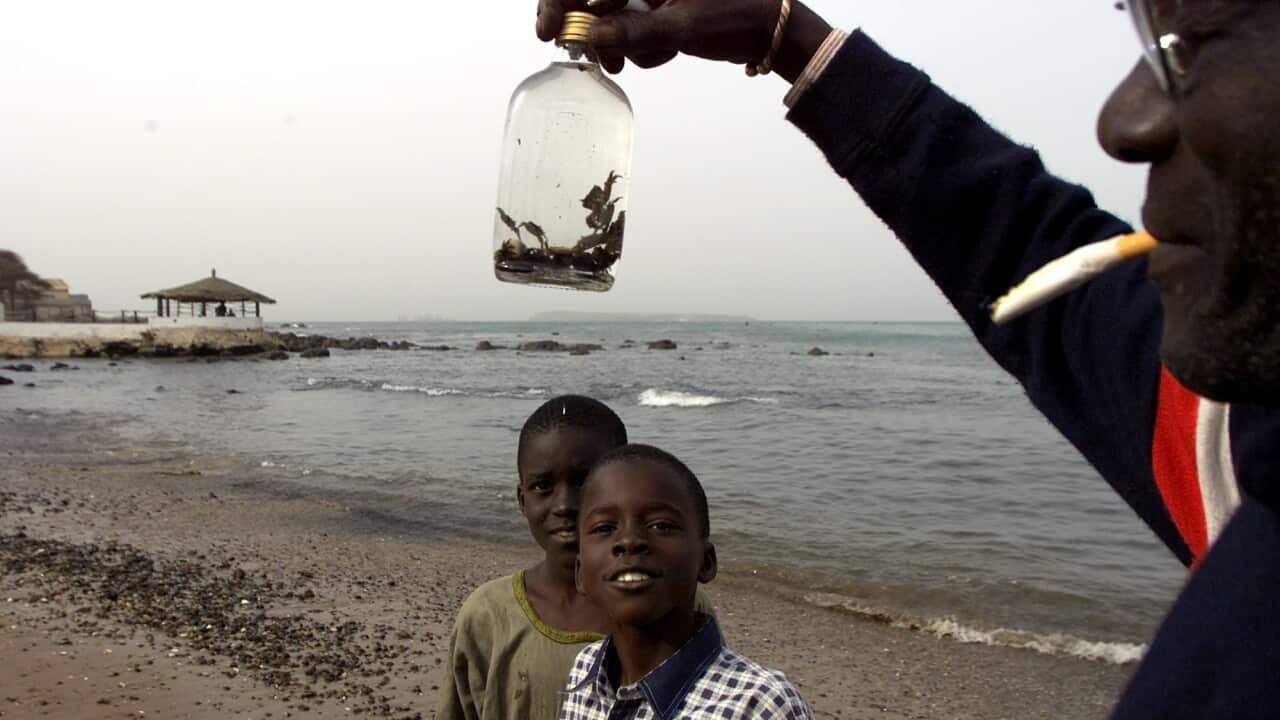 Senegal - Greenpeace Africa