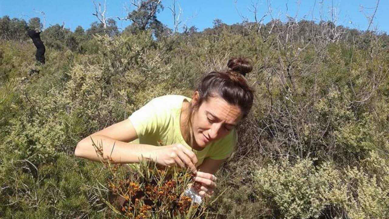 Image for read more article 'Leggi anche'