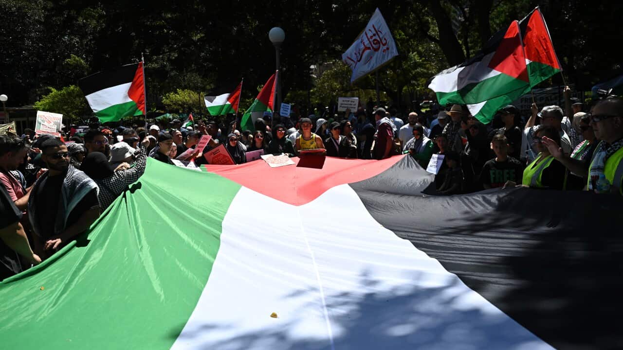 PRO PALESTINE PROTEST SYDNEY