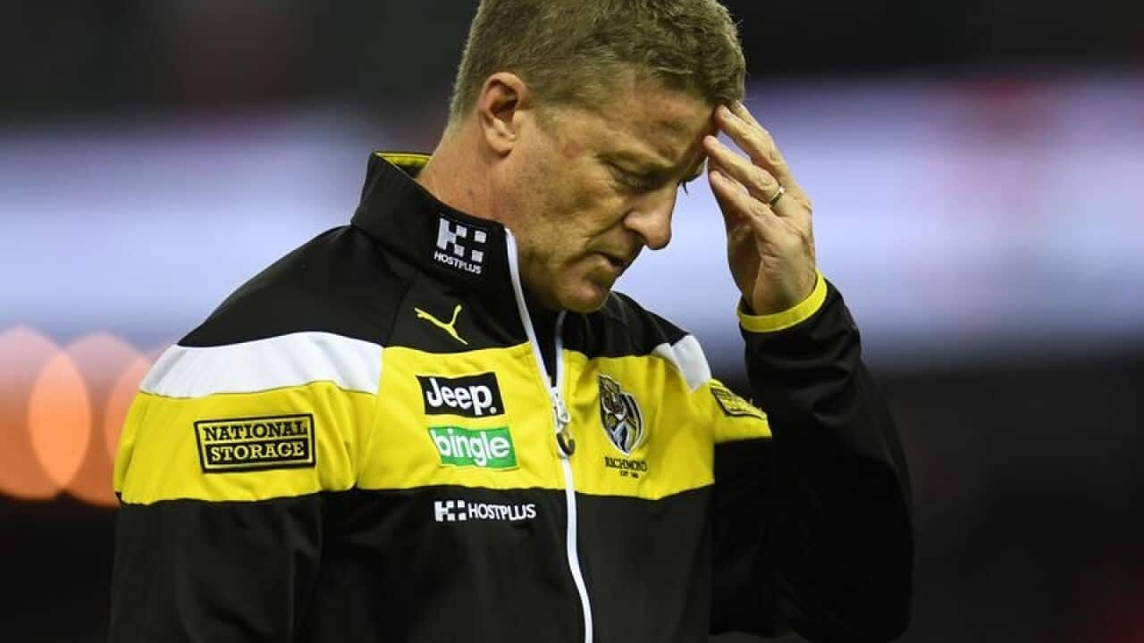 Richmond Tigers coach Damien Hardwick