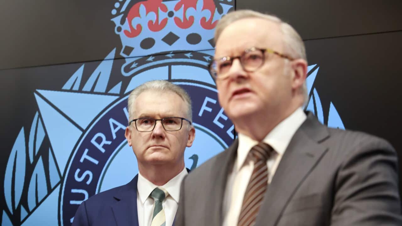 AFP BONDI TERROR INVESTIGATION