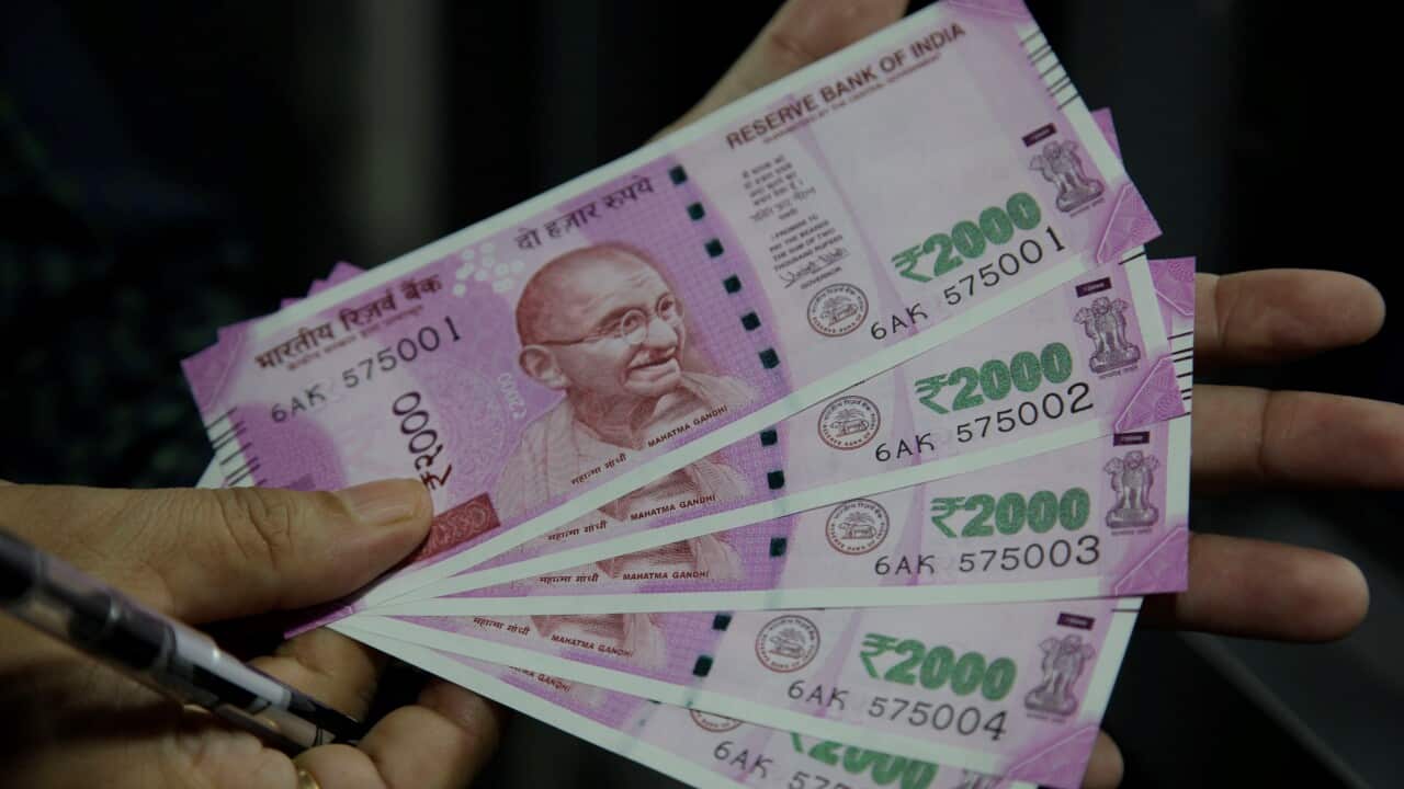 India Rats and Money