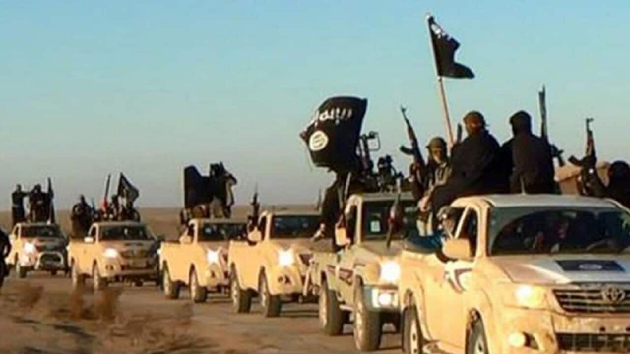 Militants of the Islamic State group