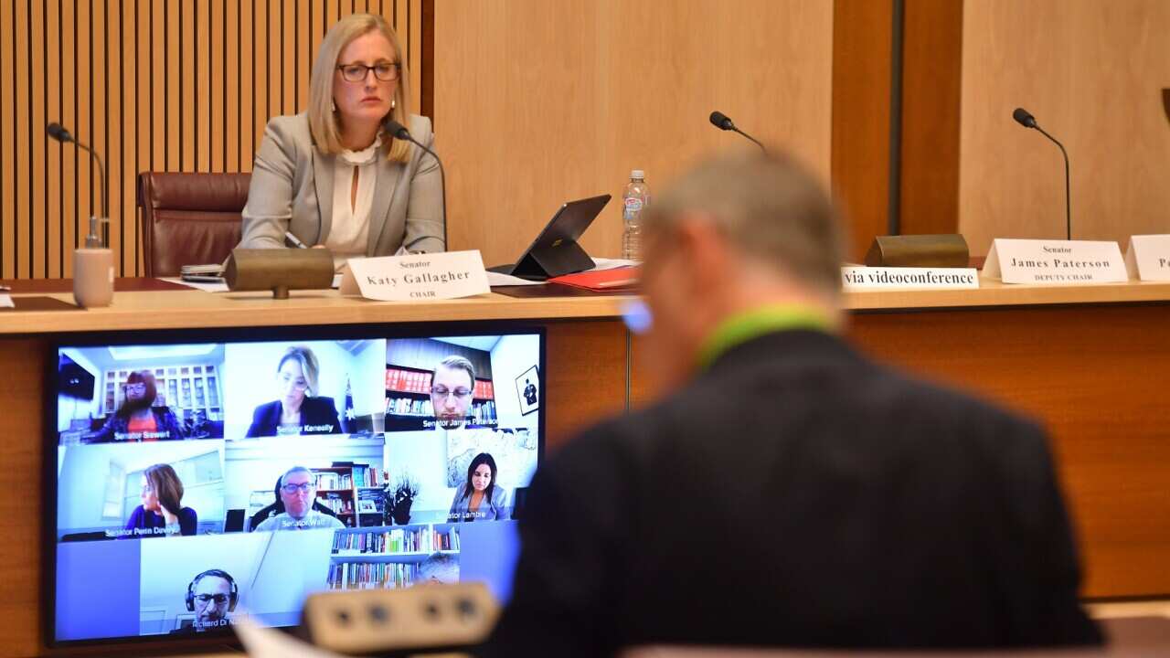 Shadow Minister for Finance Katy Gallagher questions Professor Brendan Murphy, as other senators watch on remotely