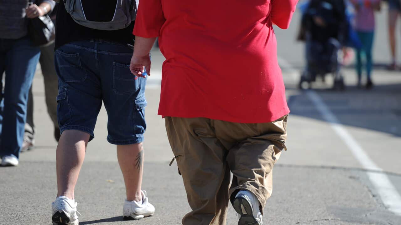 obesity_aap.jpg