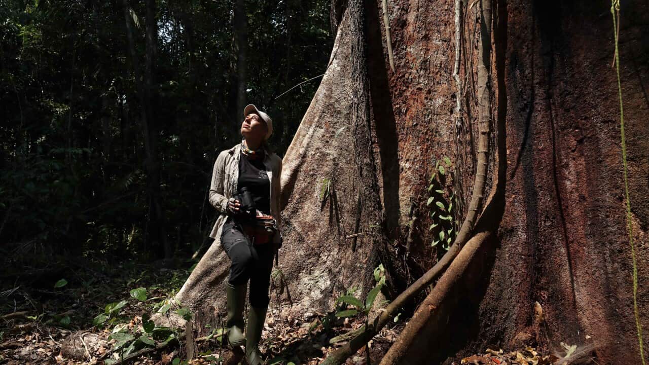 Image for read more article 'Más noticias en español:'