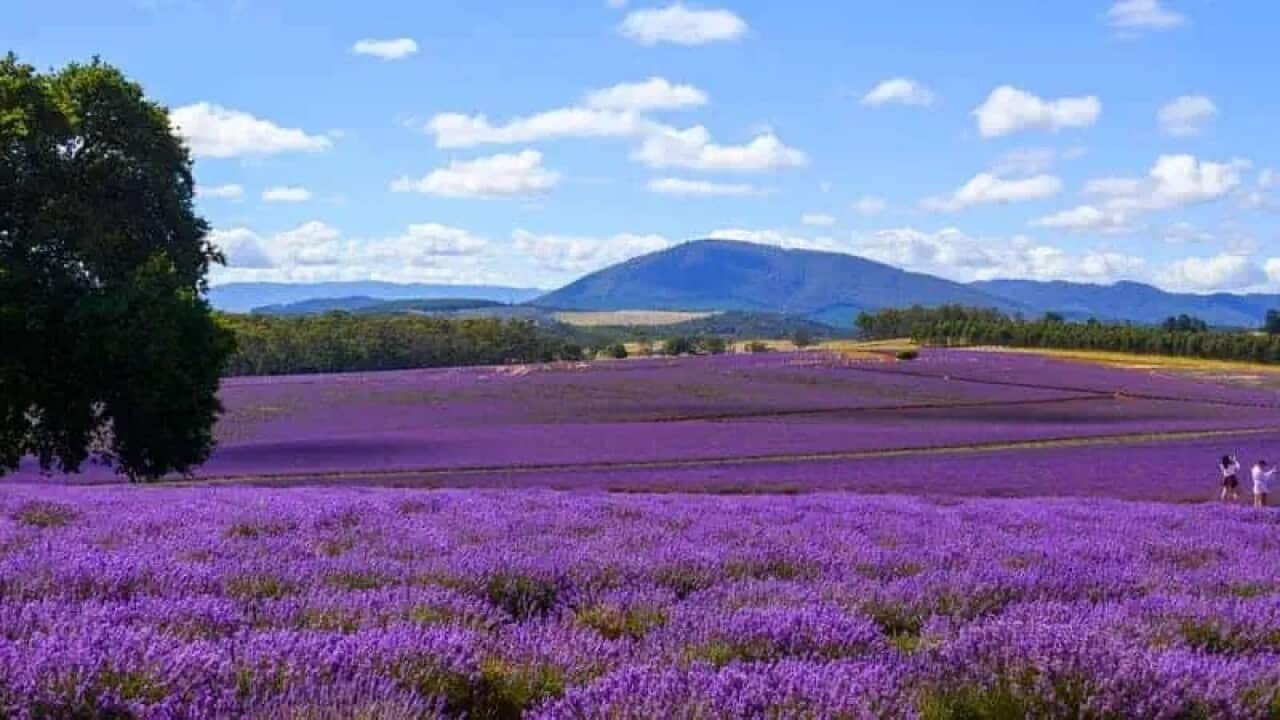 Bridestowe main photo.jpg