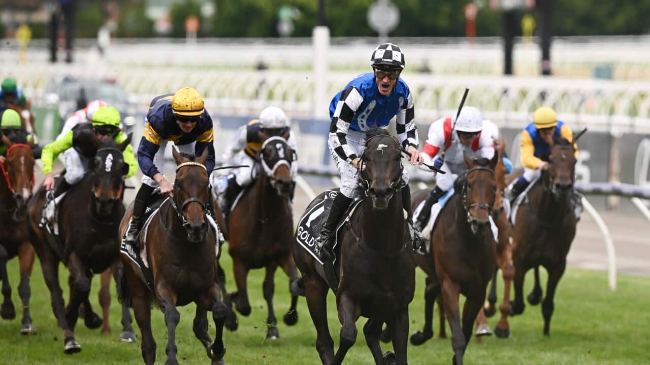 RACING MELBOURNE CUP