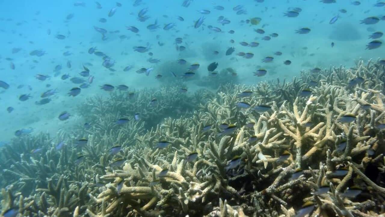 Image for read more article 'RELATED'